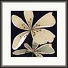 Ivory Flower Abstract Modern Art Painting
