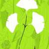 Green Black Flower Painting