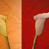 Pot Holding Two Flower Leaf