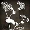 Bunch Of Black & White Flowers