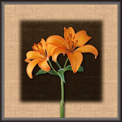 Blooming Flowers Painting