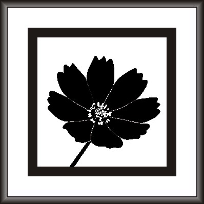 Black Flower Painting