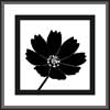 Black Flower Painting