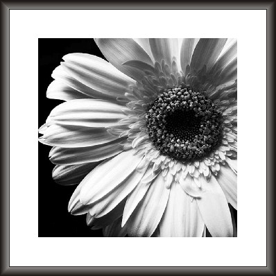 Modern Art Greyscale Painting
