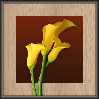 Yellow Daisy Flower Painting