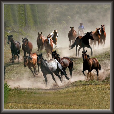 Horse Painting