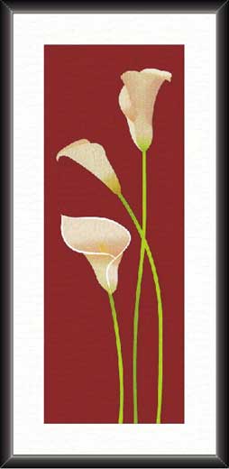Blooming Lilly