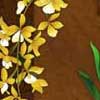 Living Room Flower Painting