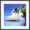 Natural Landscape Painting