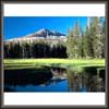 Natural Landscape Painting