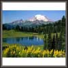 Natural Landscape Painting