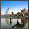 Natural Landscape Painting