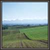 Natural Landscape Painting