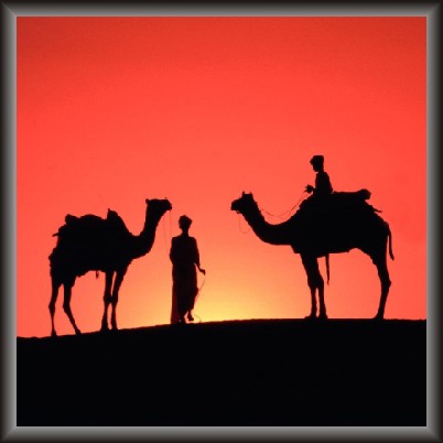 Rajasthani Sunset View
