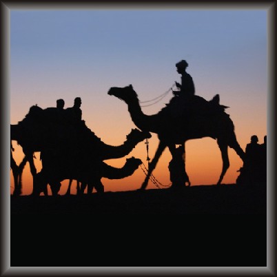 Rajasthani Camel Painting